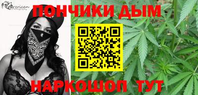 дмт Можга