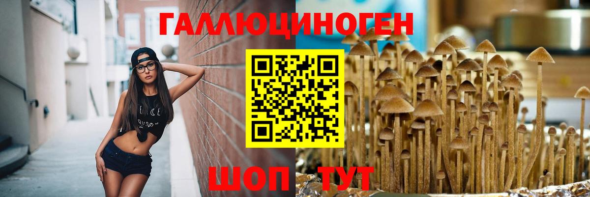 купить закладку  Вход с VPN  Шатура  Галлюциногенные грибы мицелий 
